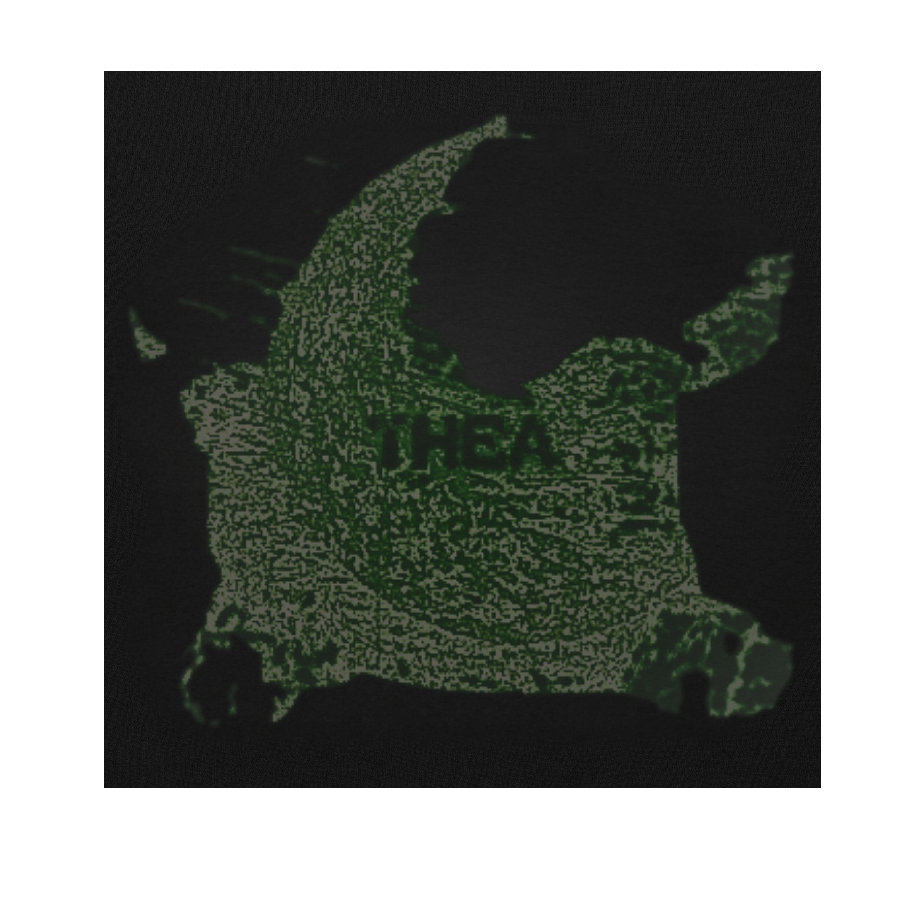 THEA WEIRD MOON HOODIE