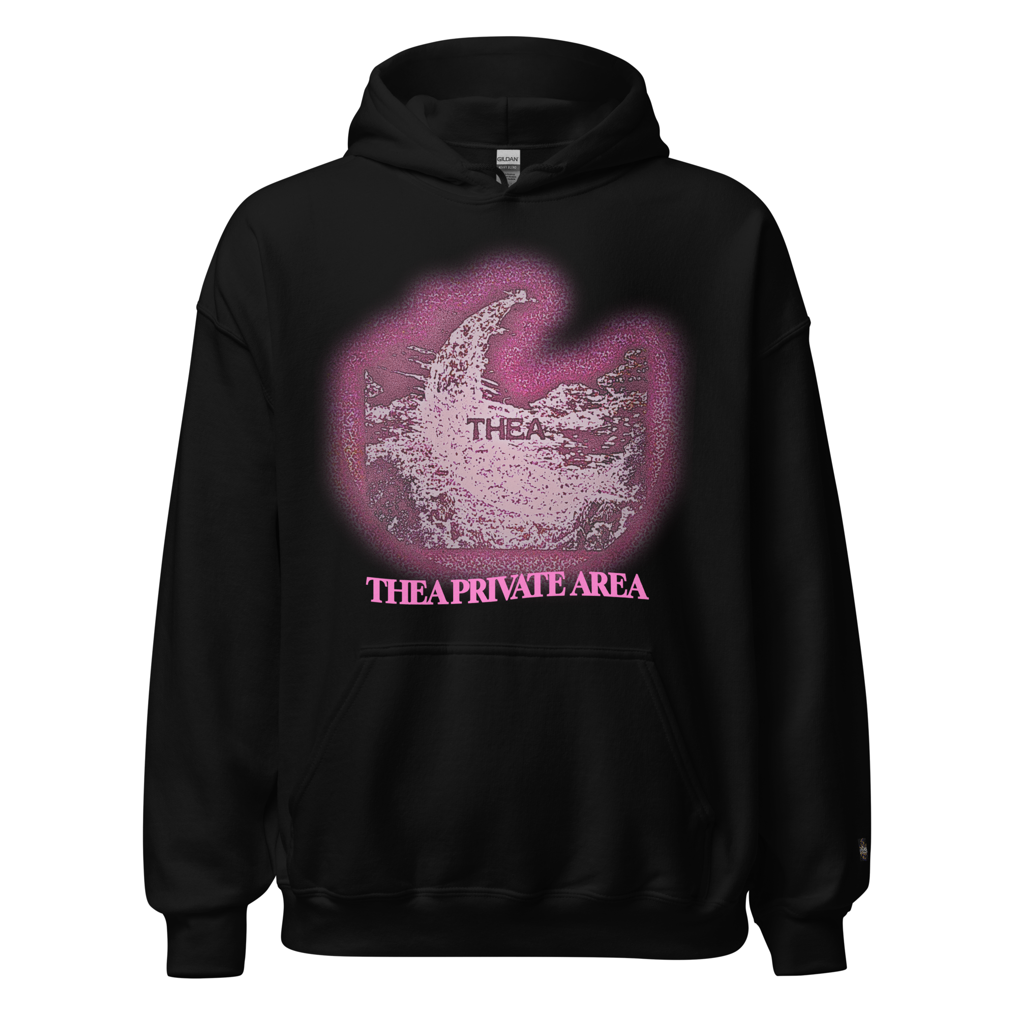 THEA PRIVATE AREA ALTERNATIVE VERSION HOODIE