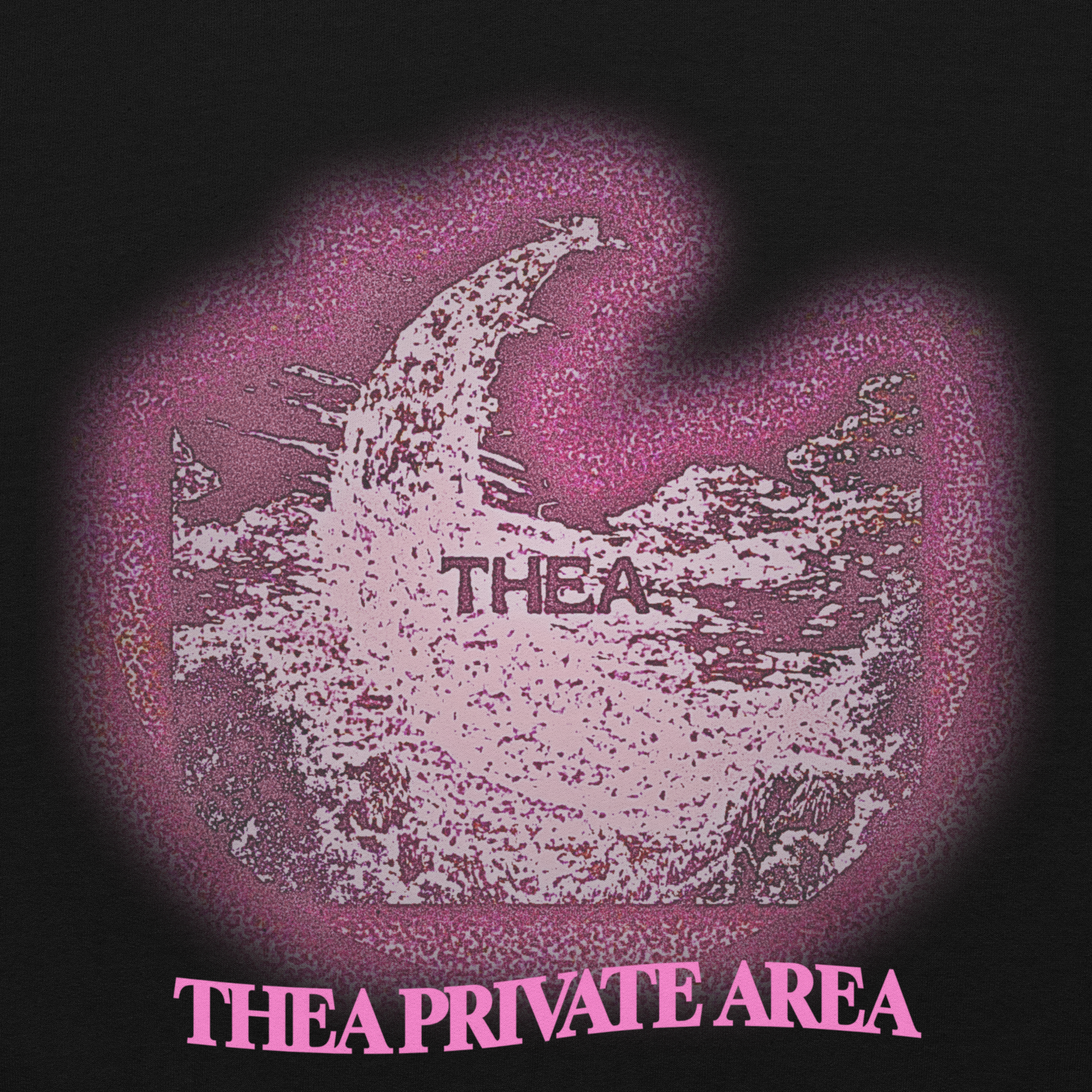 THEA PRIVATE AREA ALTERNATIVE VERSION HOODIE