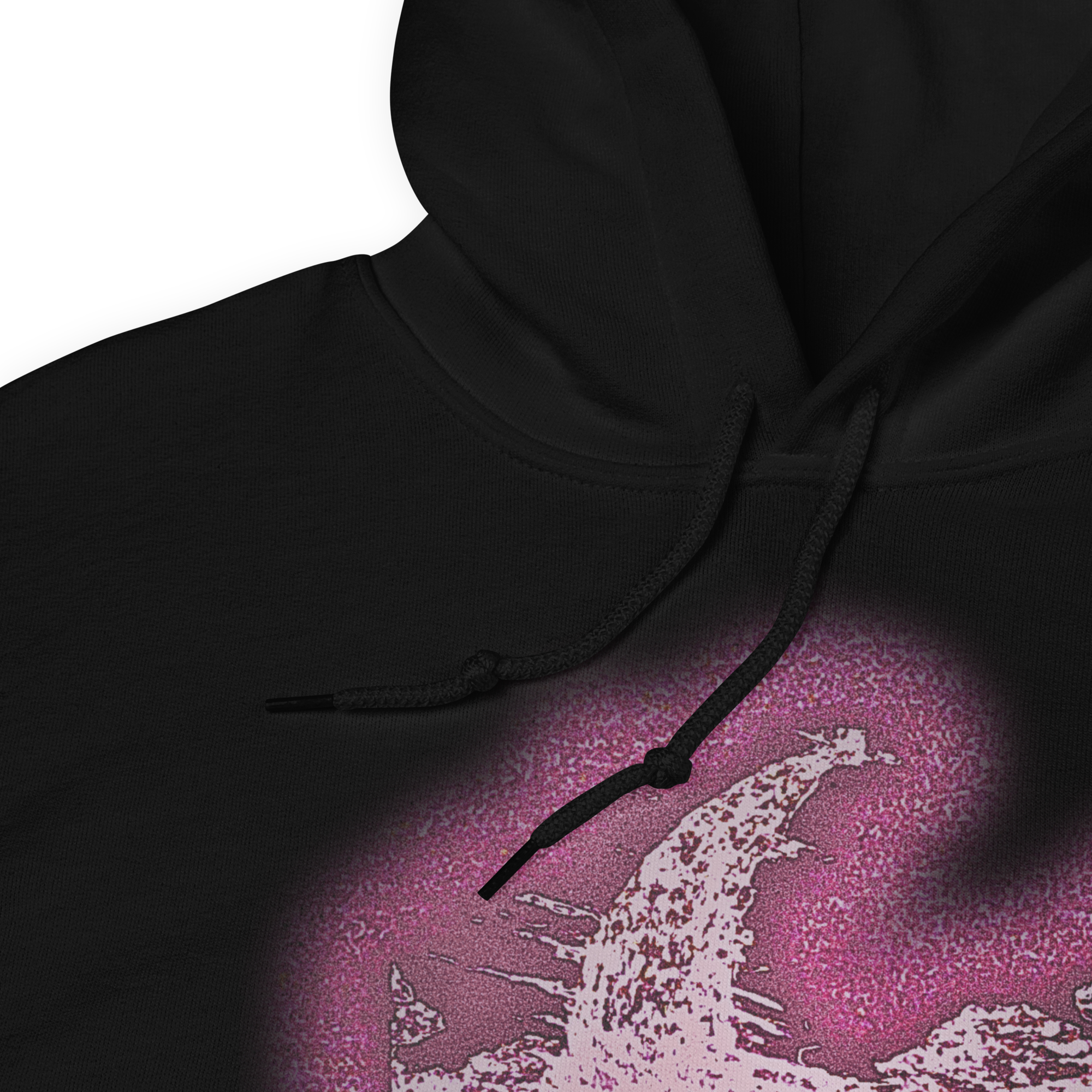 THEA PRIVATE AREA ALTERNATIVE VERSION HOODIE