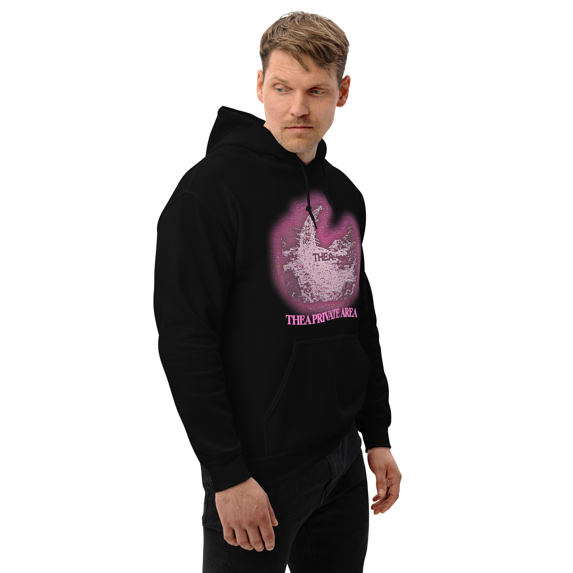 THEA PRIVATE AREA ALTERNATIVE VERSION HOODIE